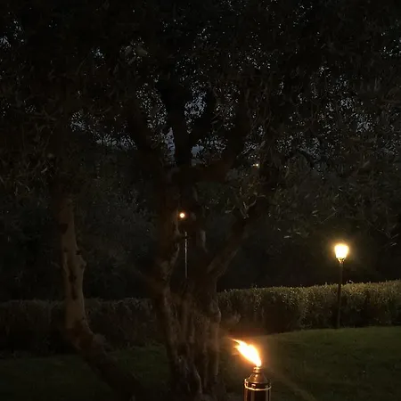 Lucia